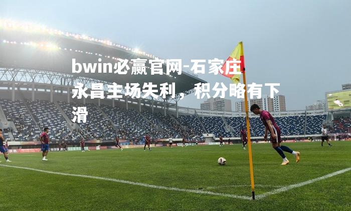 石家庄永昌主场失利，积分略有下滑