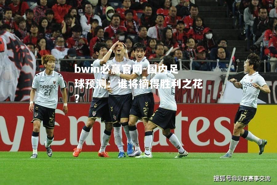 国内足球预测：谁将摘得胜利之花？