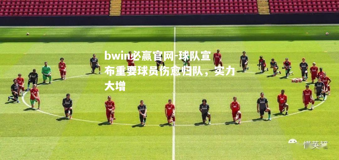 球队宣布重要球员伤愈归队，实力大增