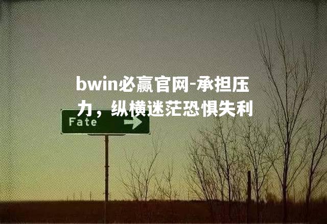 承担压力，纵横迷茫恐惧失利