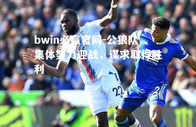 公狼队集体努力迎战，谋求取得胜利