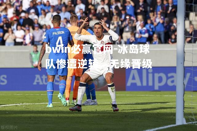 冰岛球队惨遭逆转、无缘晋级