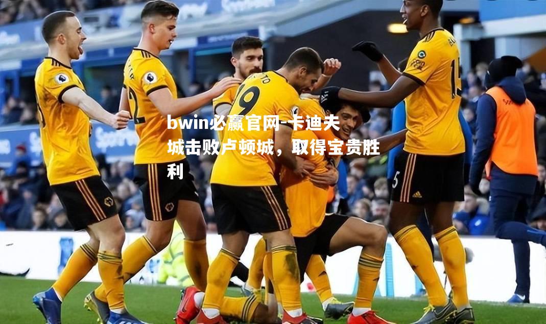 卡迪夫城击败卢顿城，取得宝贵胜利