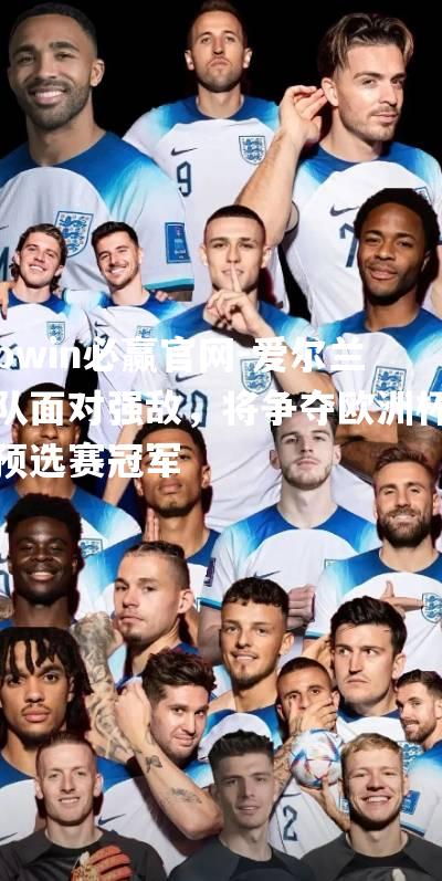 爱尔兰队面对强敌，将争夺欧洲杯预选赛冠军